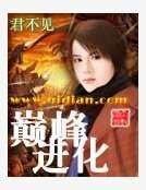巔峯進化