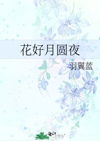 花好月圆夜