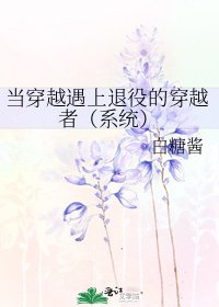 当穿越遇上退役的穿越者（系统） [参赛作品]